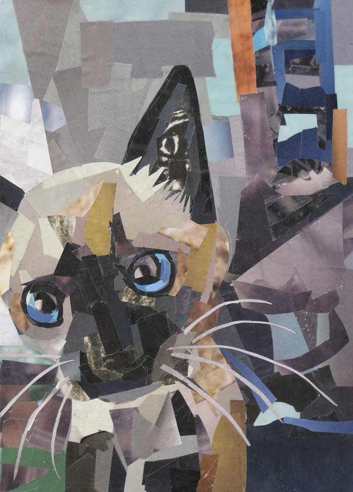 The Curious Kitten by collage artist Megan Coyle