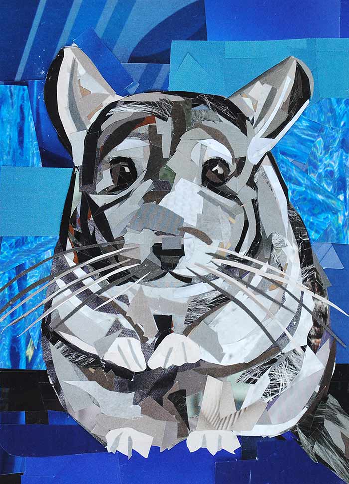 Chinchilla Portrait by collage artist Megan Coyle
