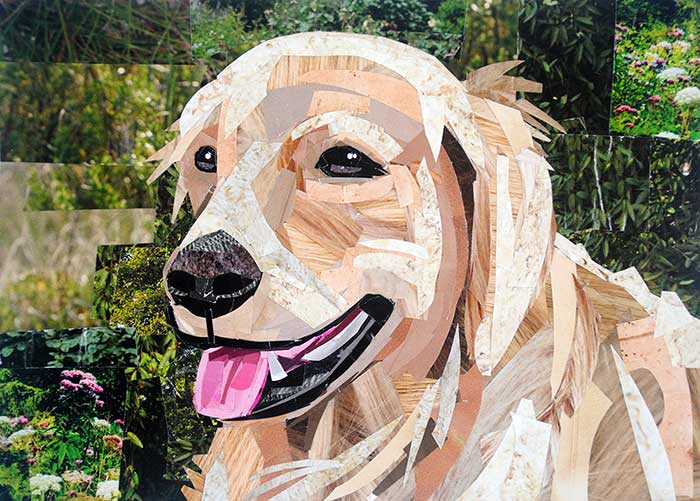 Golden Retriever pet portrait by collage artist Megan Coyle
