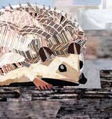 Hedgehog