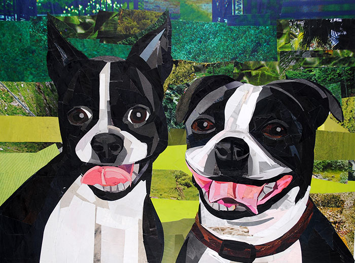 Meet the Bostons by collage artist Megan Coyle