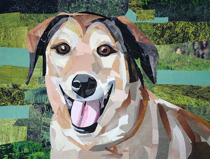 Smiling Dog Portrait by collage artist Megan Coyle
