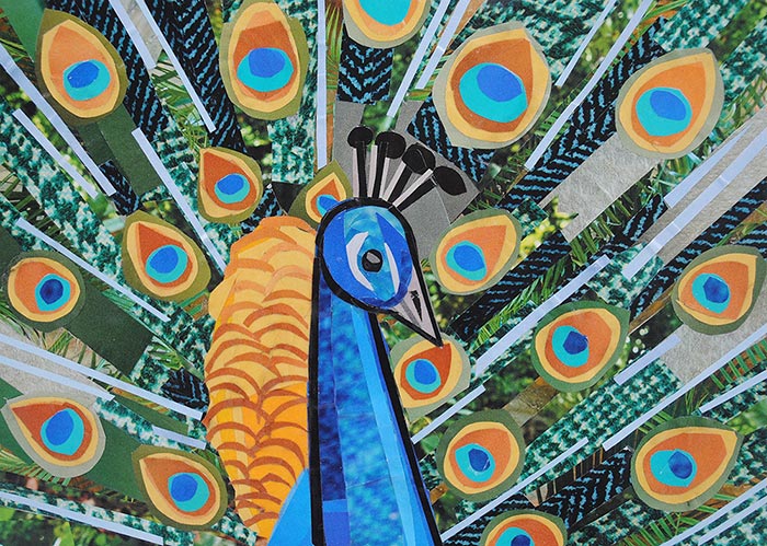 Pretty as a Peacock by collage artist Megan Coyle