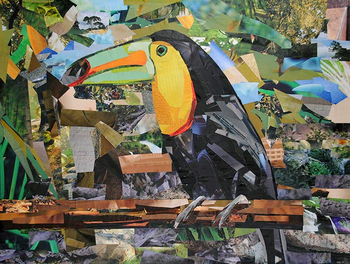 Toucan Samantha by collage artist Megan Coyle