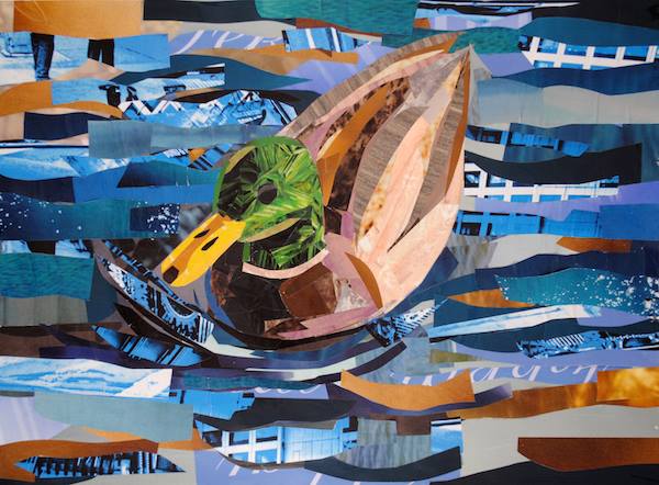 Mallard Duck by collage artist Megan Coyle