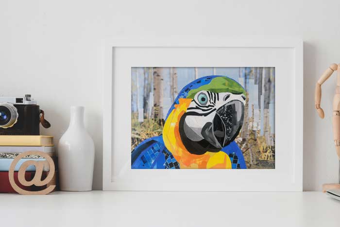The Colorful Parrot collage by Megan Coyle